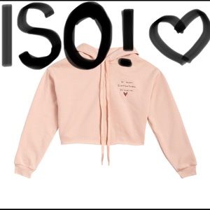 ISO Taylor Swift Reputation Peach Endgame Hoodie